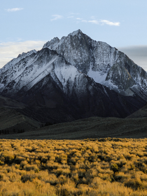 servicios Snow Mountains 02